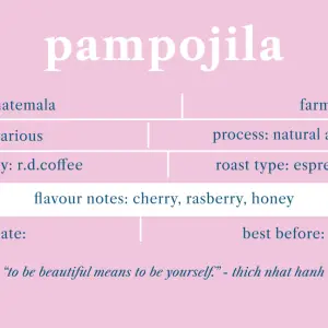 Pampojila Guatemala 1